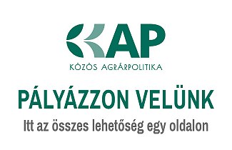 KAP PÁLYÁZAT INFORMÁCIÓK KAP PÁLYÁZAT INFORMÁCIÓK
